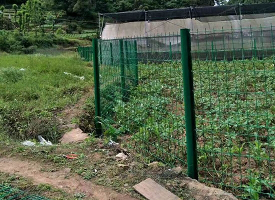 重慶桃形柱護欄網